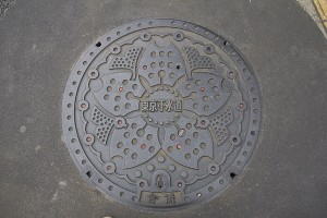 Tokyo water main cover