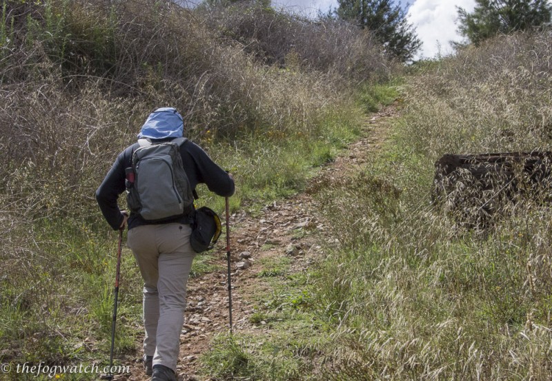 Camino de Santiago de Compstella