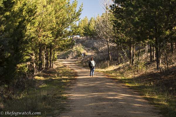 Walking in solitude