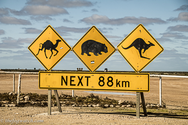 Ceduna and the Nullarbor Road