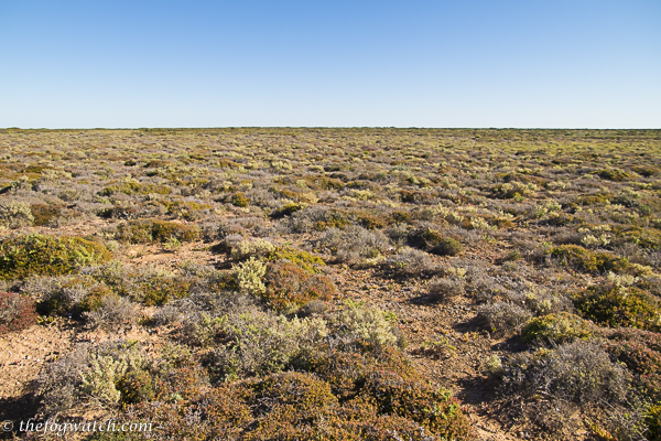 Nullarbor