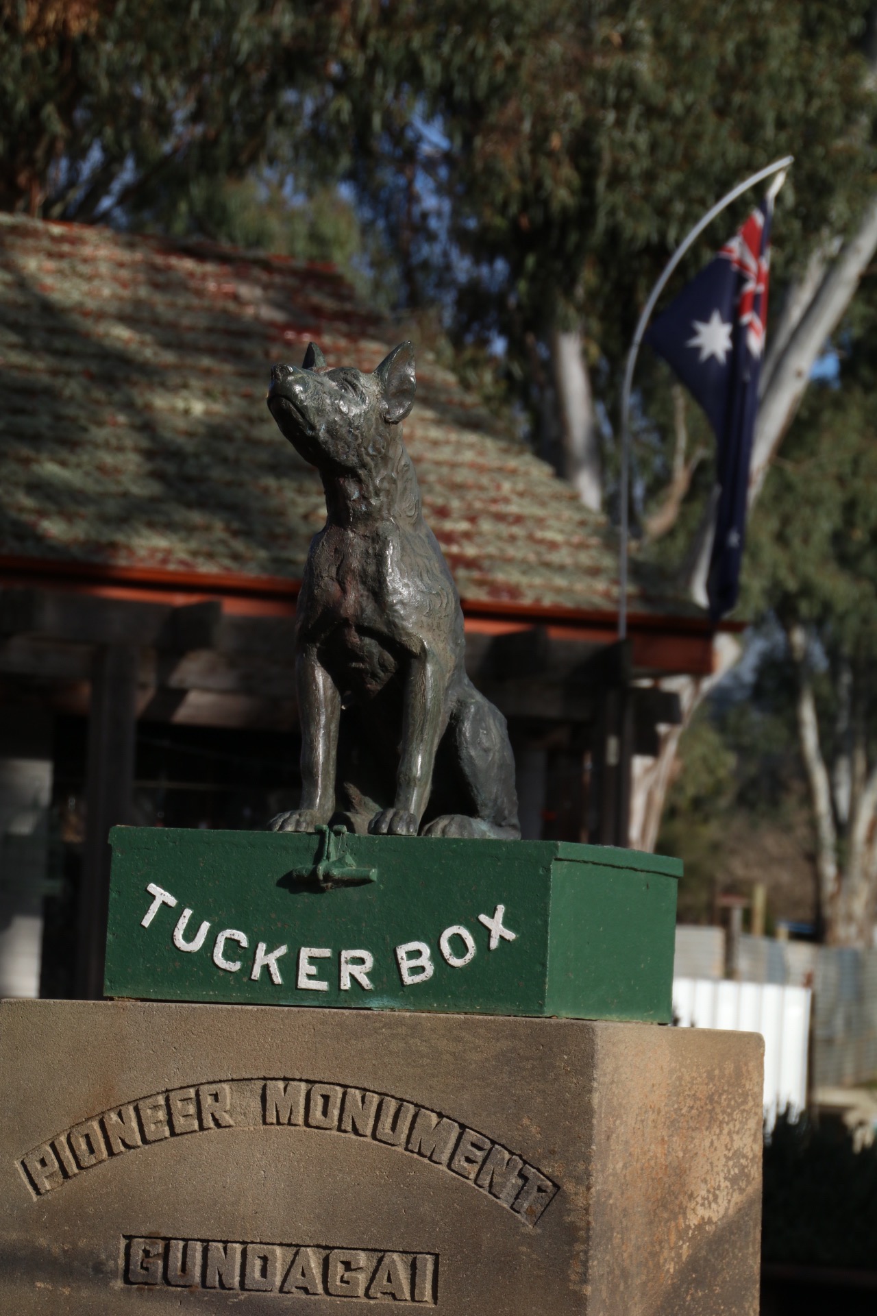Dog on the Tucker Box