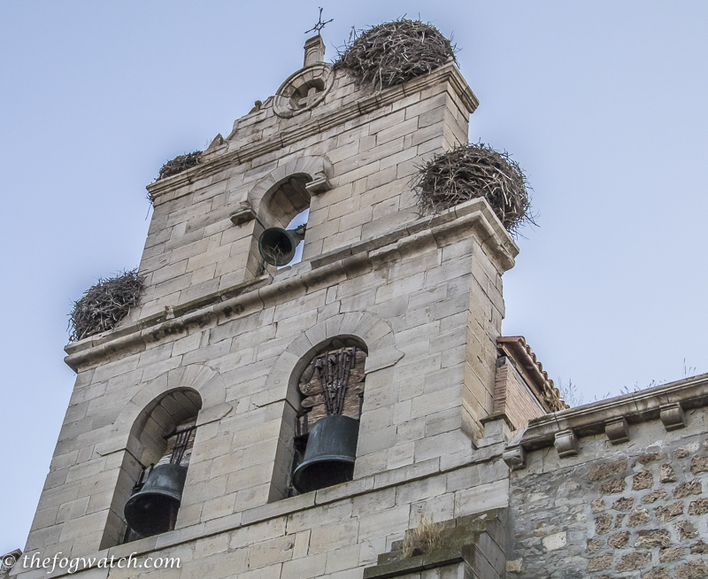 Dragon nests on the church