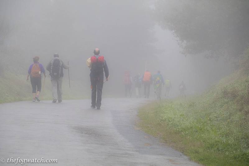 The Camino brings us closer together