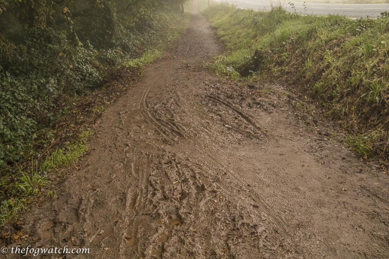 muddy path