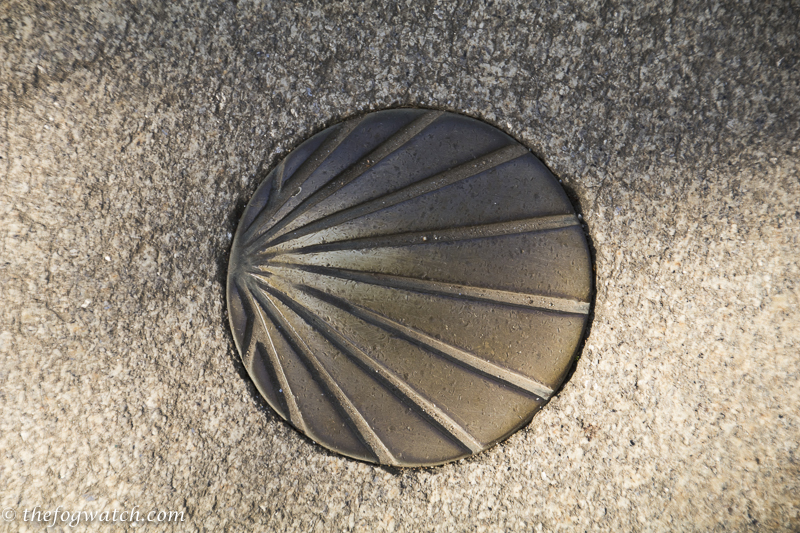 bronze Camino shell
