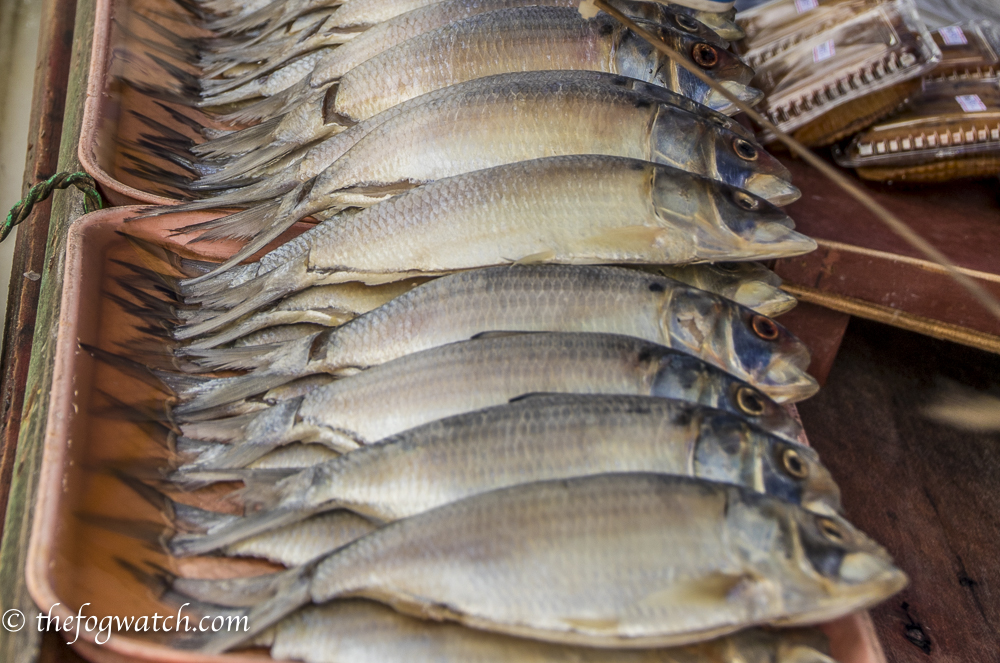 fish market, Kuching