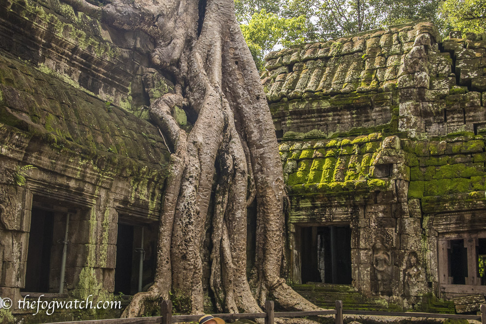 Cambodia – Ta Prohm: An Angkor treasure