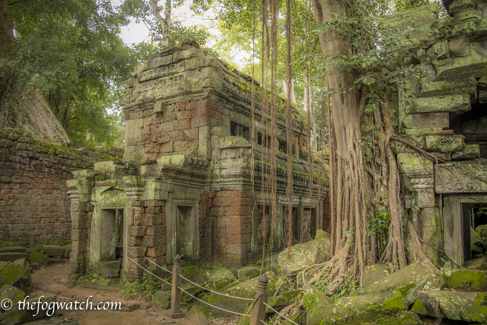 Ta Prohm