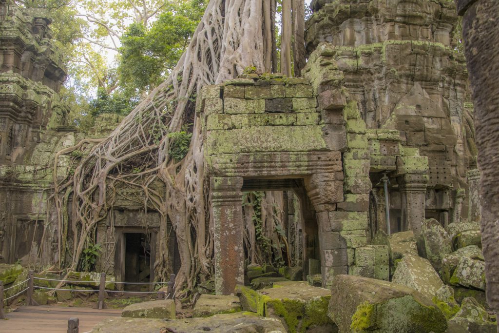 Ta Prohm