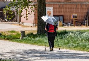 Hands-free trekking umbrella - The Fog Watch