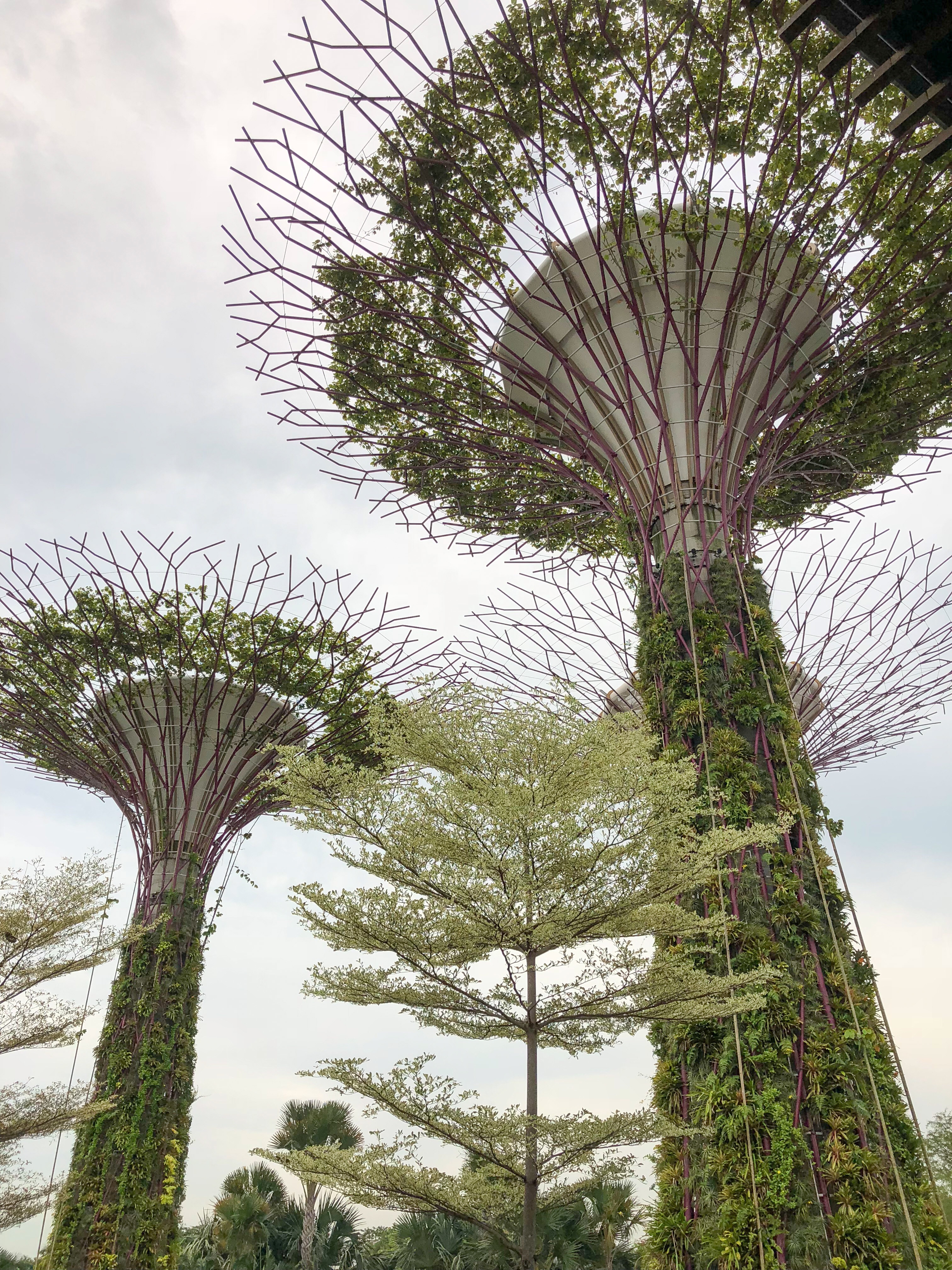 Singapore: Gardens by the Bay