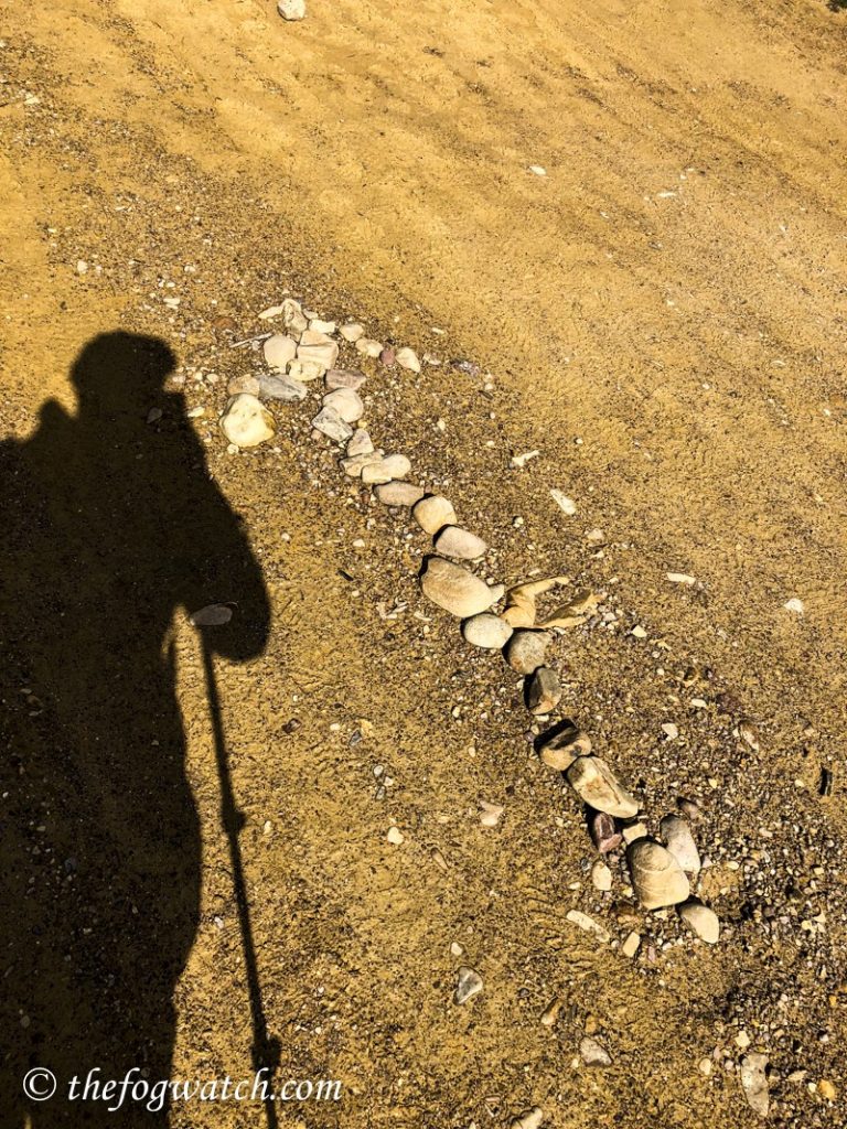 pilgrim shadow