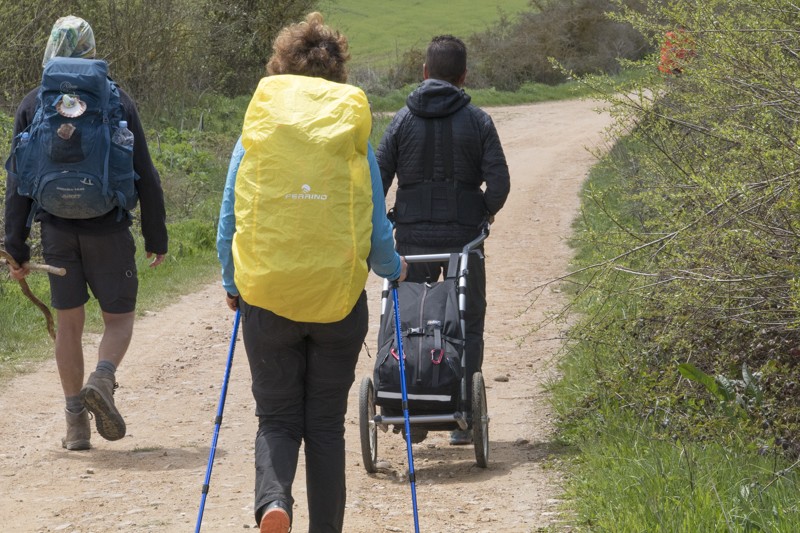 pilgrim trolley