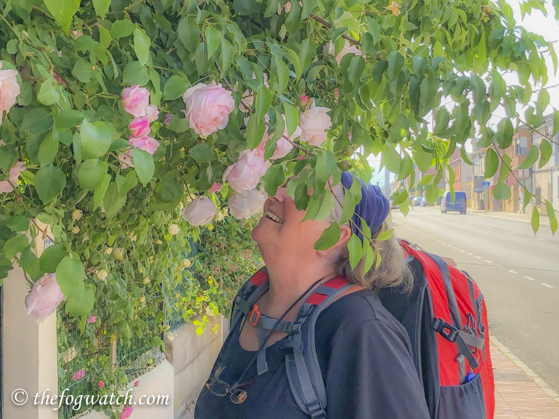 smelling the roses