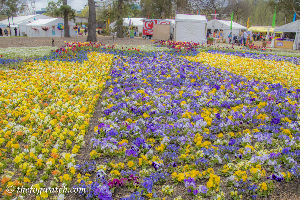 Floriade flower beds