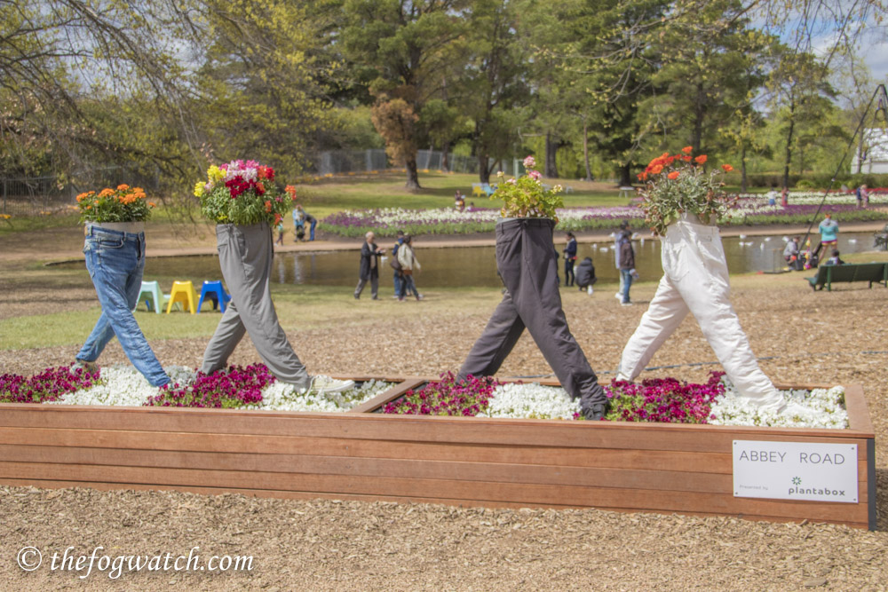 Floriade tribute to The Beatles Abbey Road