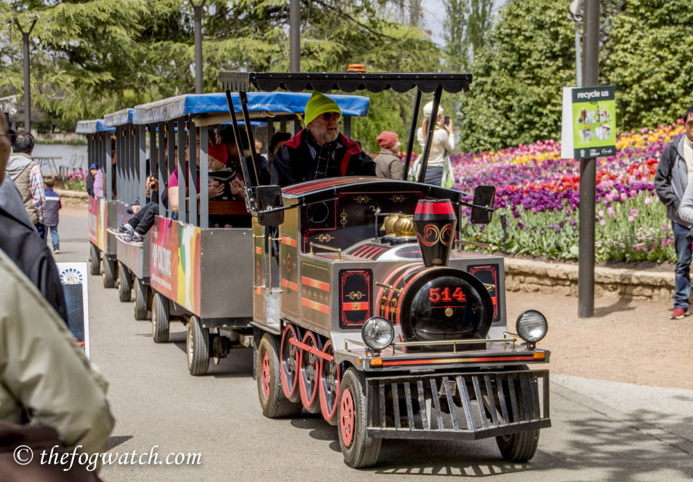 Mini train at Floriade