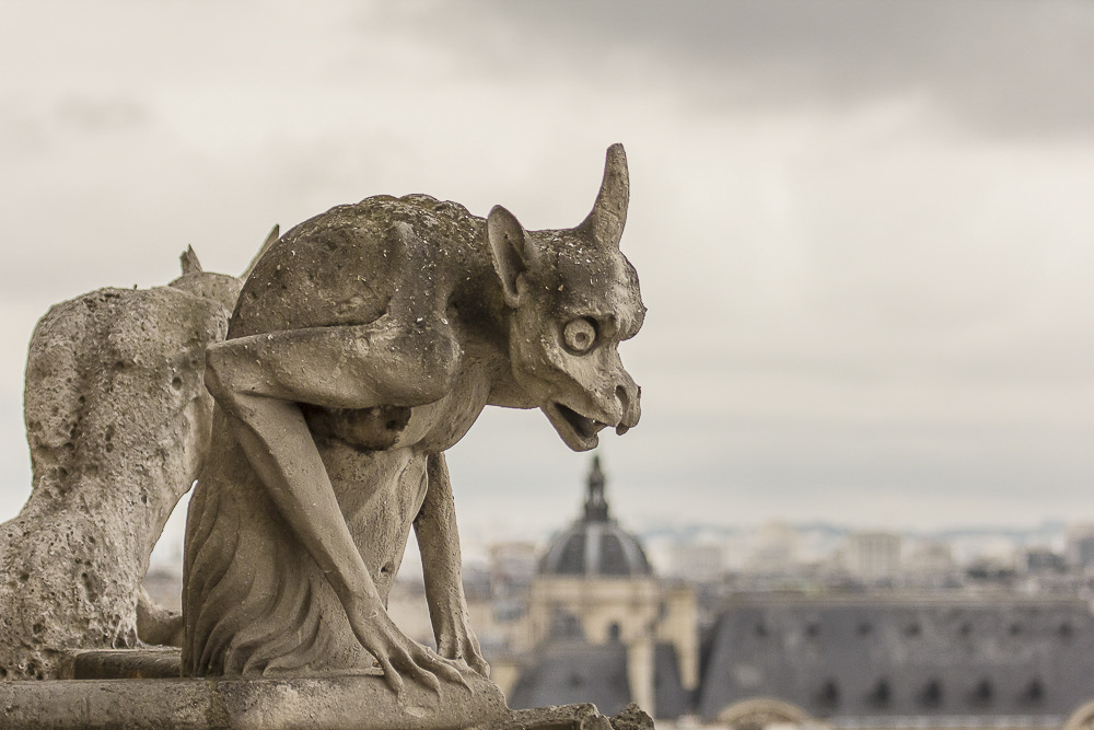 Gargoyle/grotesque on Notre Dame