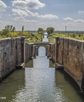 Boadilla del Camino to Carrion de los Condes